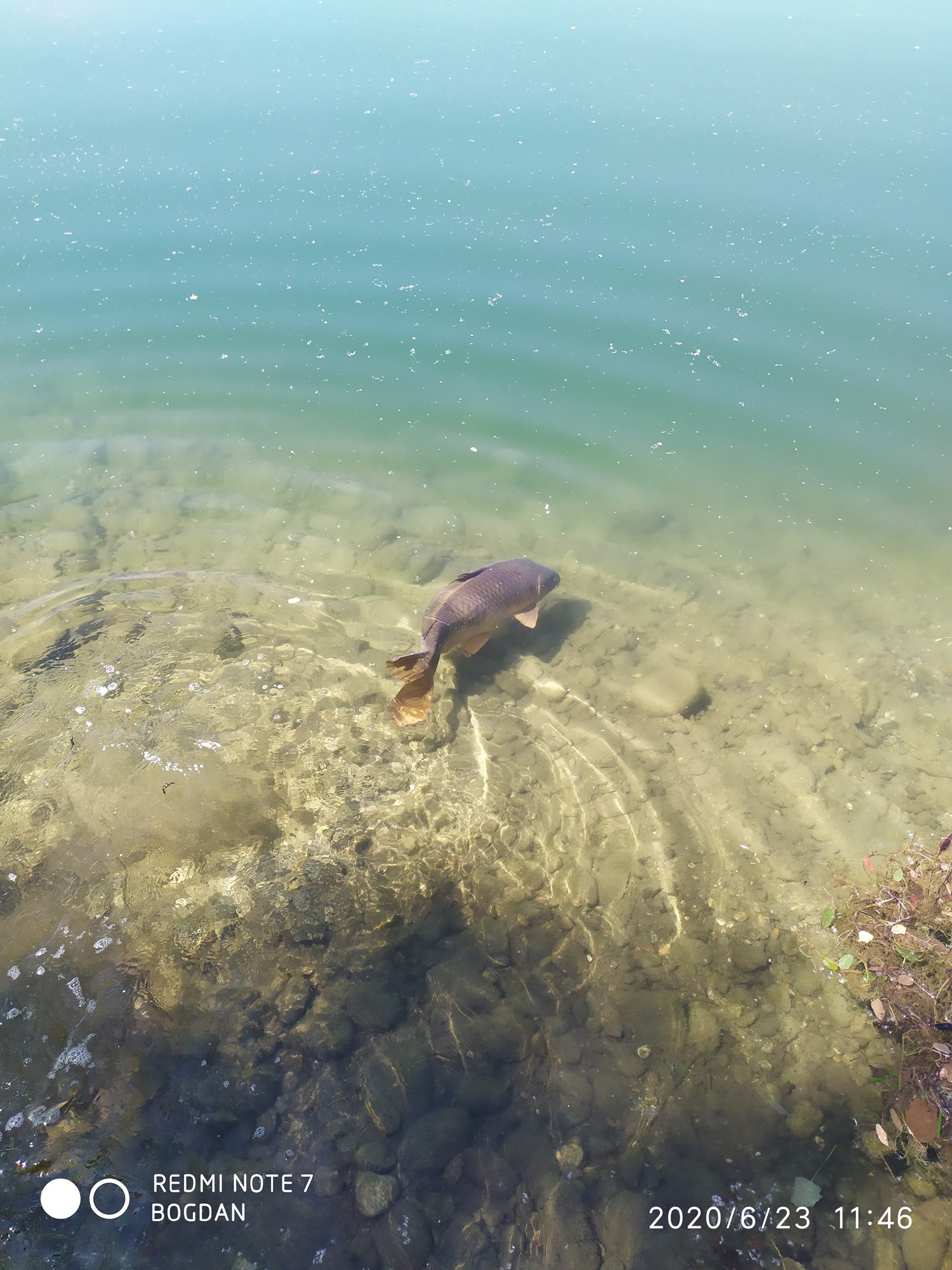 ISOLA DEL PESCATORE 23 - 24 iunie 2020 - IMG20200623114645.jpg